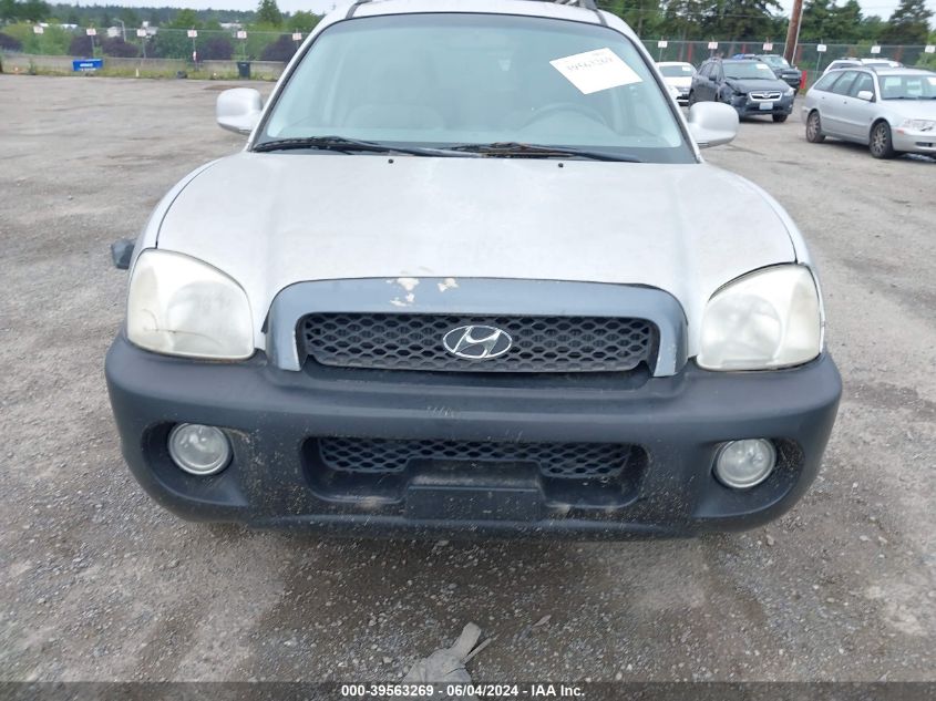 2003 Hyundai Santa Fe Gls/Lx VIN: KM8SC73D33U448491 Lot: 39563269