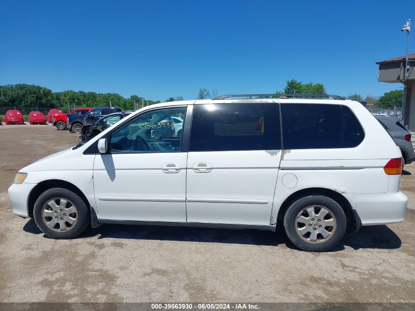 2004 Honda Odyssey Ex-L VIN: 5FNRL18764B038295 Lot: 39563930