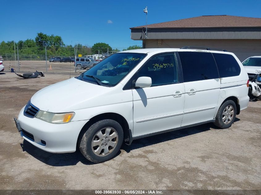 2004 Honda Odyssey Ex-L VIN: 5FNRL18764B038295 Lot: 39563930