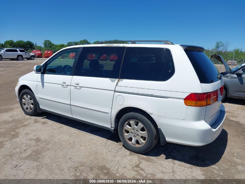 2004 Honda Odyssey Ex-L VIN: 5FNRL18764B038295 Lot: 39563930