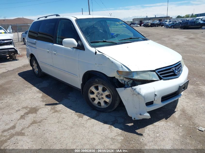 2004 Honda Odyssey Ex-L VIN: 5FNRL18764B038295 Lot: 39563930