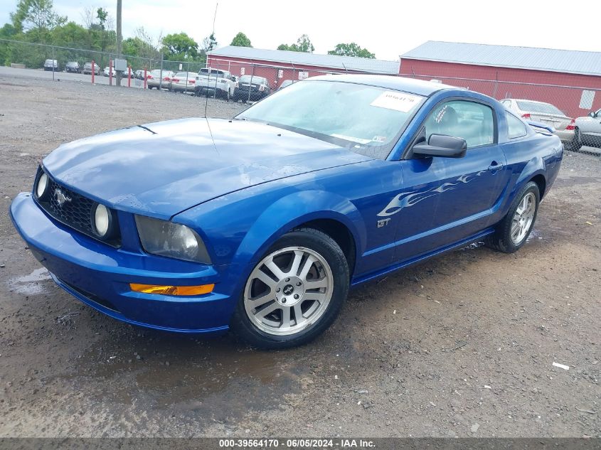 2006 Ford Mustang Gt VIN: 1ZVHT82H165194719 Lot: 39564170