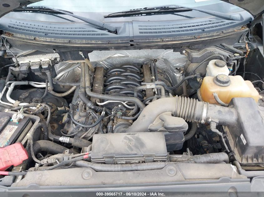 2013 Ford F-150 Xlt VIN: 1FTFX1EF4DFD18943 Lot: 39565717