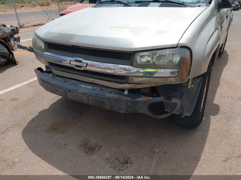 2004 Chevrolet Trailblazer Ls VIN: 1GNDS13S042318409 Lot: 39566257