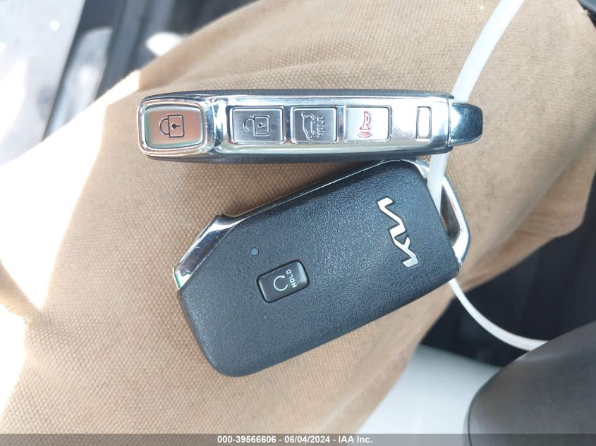 2022 Kia Telluride Sx VIN: 5XYP5DHC8NG233485 Lot: 39566606