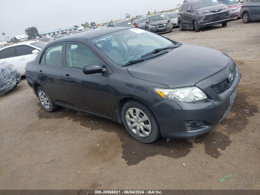 2009 Toyota Corolla VIN: JTDBL40E499033384 Lot: 39566821