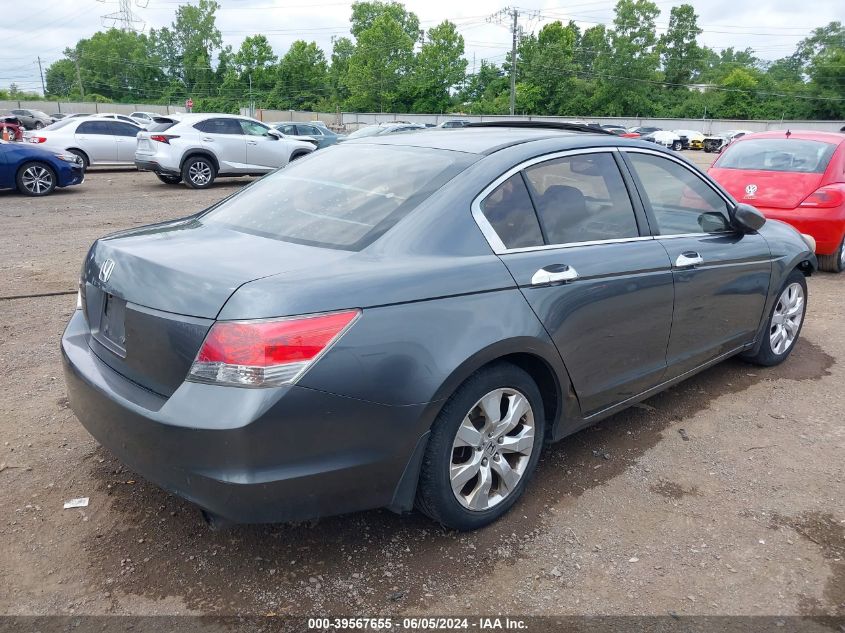 2010 Honda Accord 2.4 Ex VIN: 1HGCP2F74AA181562 Lot: 39567655