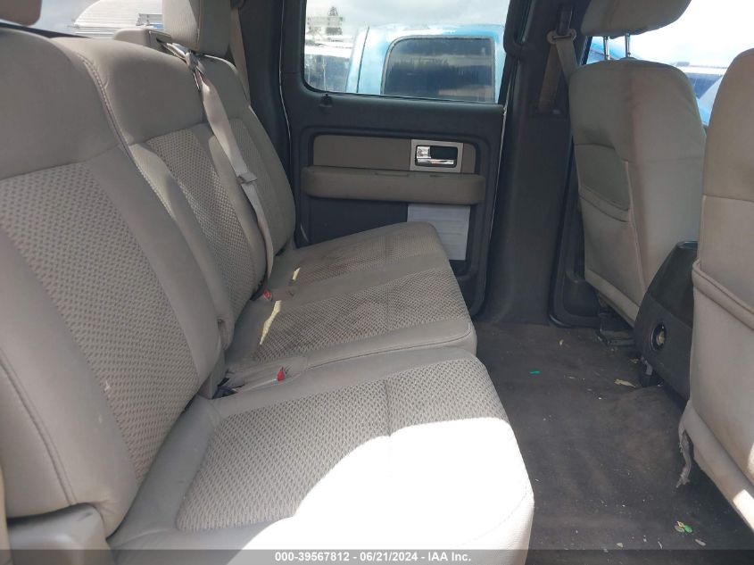 2010 Ford F-150 Xlt VIN: 1FTEW1E80AFC90764 Lot: 39567812