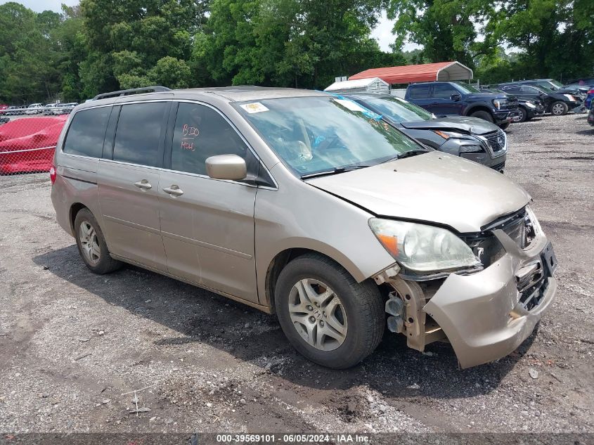 2007 Honda Odyssey Ex-L VIN: 5FNRL38657B404822 Lot: 39569101