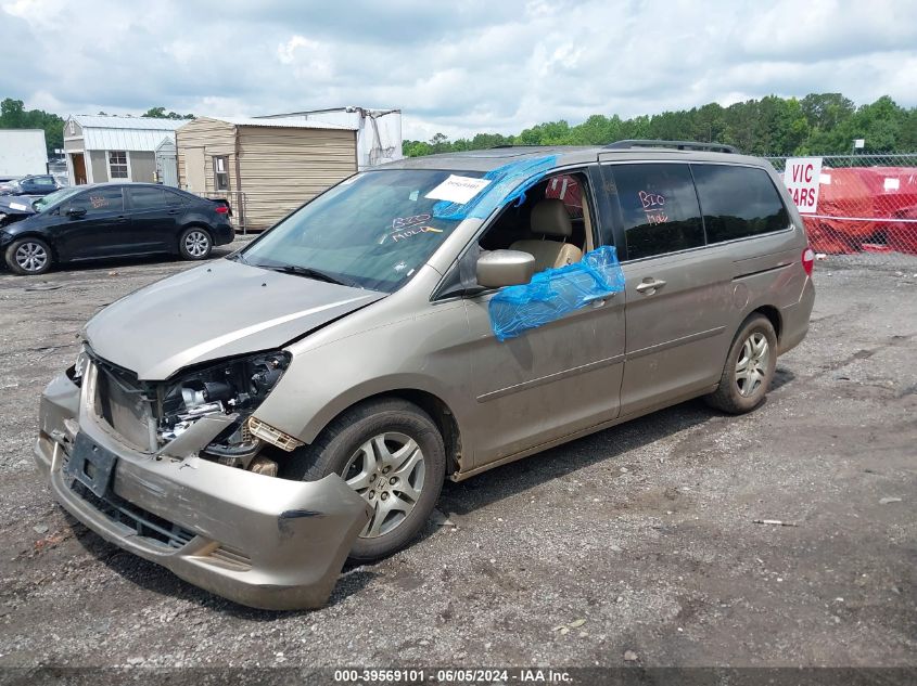 2007 Honda Odyssey Ex-L VIN: 5FNRL38657B404822 Lot: 39569101