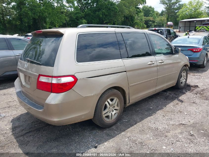 2007 Honda Odyssey Ex-L VIN: 5FNRL38657B404822 Lot: 39569101