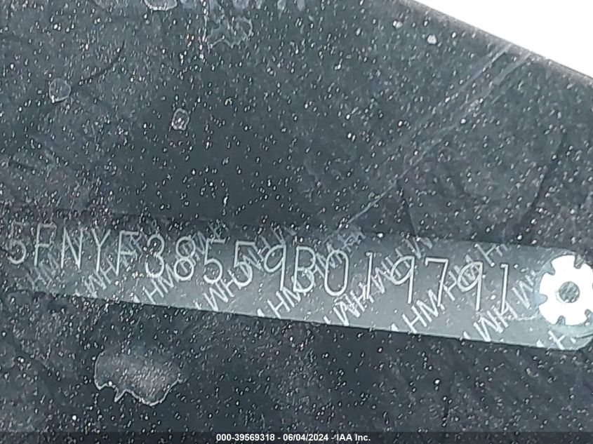 2009 Honda Pilot Ex-L VIN: 5FNYF38559B019791 Lot: 39569318