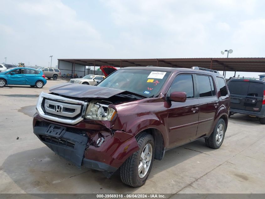 2009 Honda Pilot Ex-L VIN: 5FNYF38559B019791 Lot: 39569318