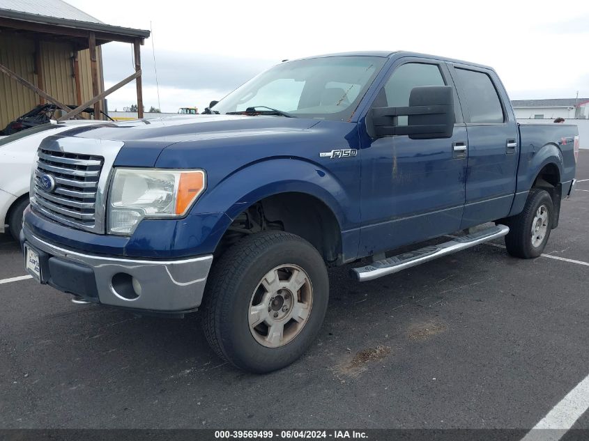 2010 Ford F-150 Fx4/Harley-Davidson/King Ranch/Lariat/Platinum/Xl/Xlt VIN: 1FTFW1EV6AFB99539 Lot: 39569499