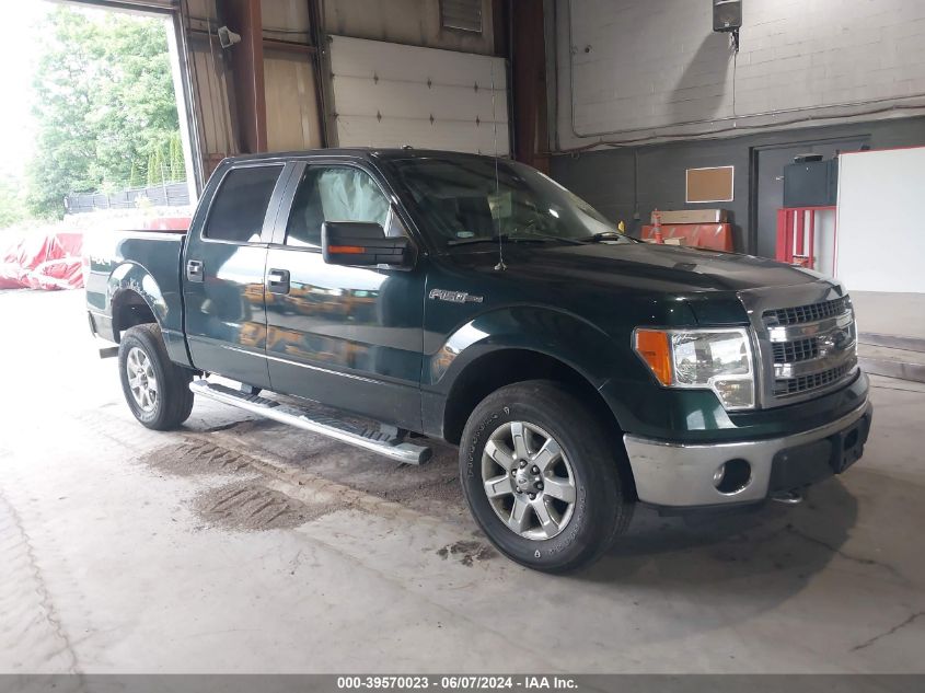 2013 Ford F-150 Xlt VIN: 1FTFW1EFXDKD50760 Lot: 39570023