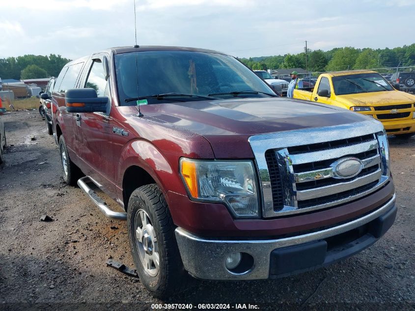 2009 Ford F-150 Stx/Xl/Xlt VIN: 1FTRF12W19KB50116 Lot: 39570240