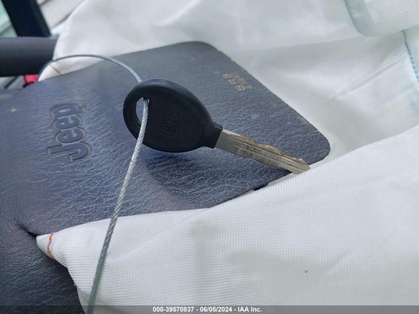 2002 Jeep Wrangler X VIN: 1J4FA39S02P731691 Lot: 39570837