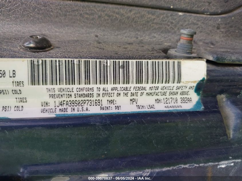 2002 Jeep Wrangler X VIN: 1J4FA39S02P731691 Lot: 39570837