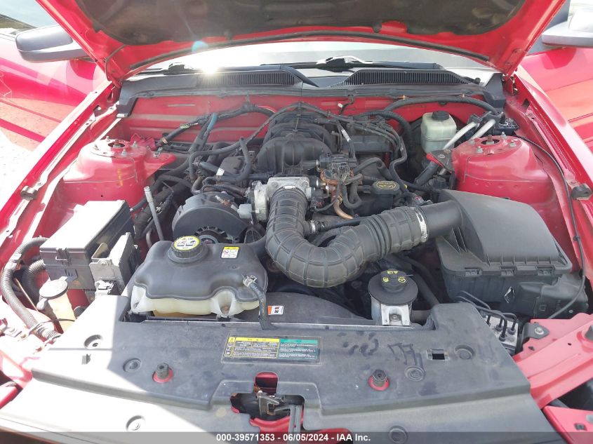 2005 Ford Mustang VIN: 1ZVFT84N455202479 Lot: 39571353