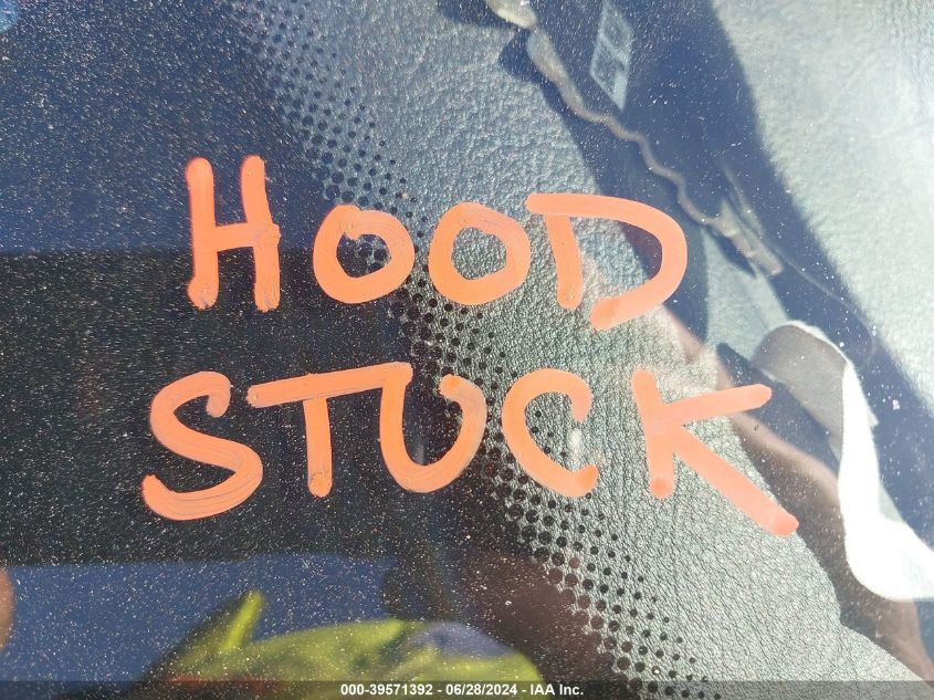 2005 BMW 330Xi VIN: WBAEW53495PN36831 Lot: 39571392