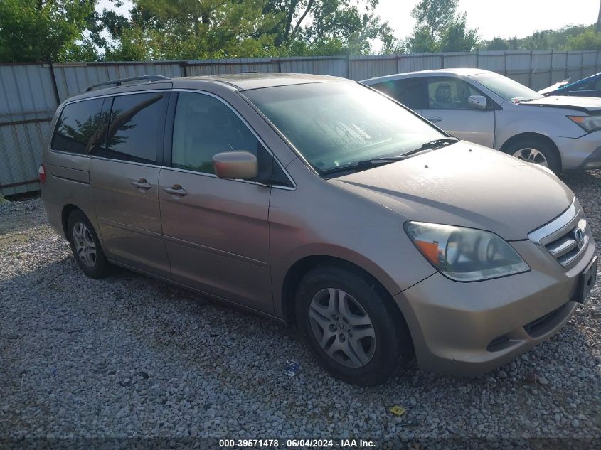 2006 Honda Odyssey Ex-L VIN: 5FNRL38796B458129 Lot: 39571478