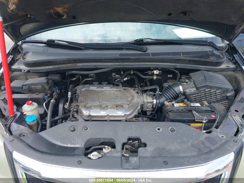 2008 Honda Odyssey Ex-L VIN: 5FNRL38748B031881 Lot: 39571504