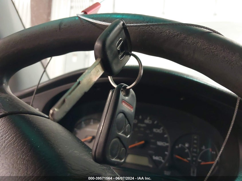 2003 Honda Odyssey Ex VIN: 5FNRL18603B137944 Lot: 39571564