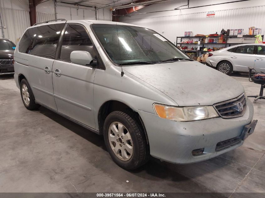 2003 Honda Odyssey Ex VIN: 5FNRL18603B137944 Lot: 39571564