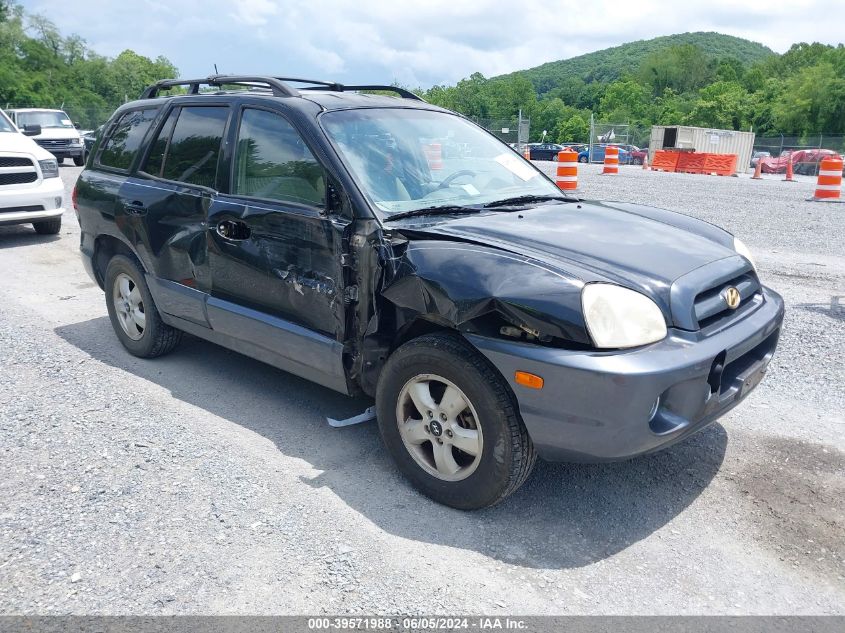 2005 Hyundai Santa Fe Gls VIN: KM8SC73D25U997151 Lot: 39571988