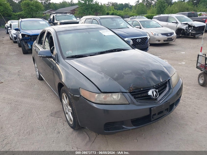 2004 Acura Tsx VIN: JH4CL96874C014258 Lot: 39573773