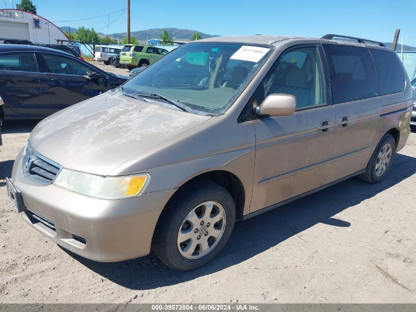 2003 Honda Odyssey Ex VIN: 5FNRL18653B017086 Lot: 39573804