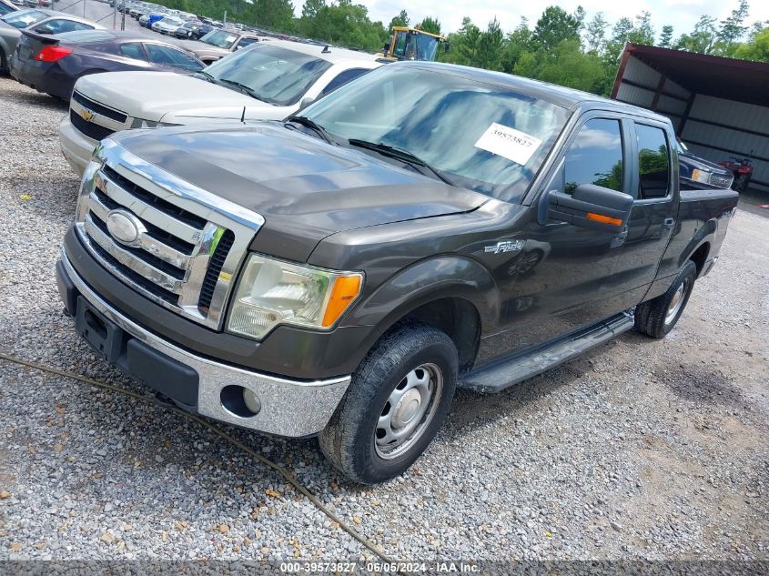 2009 Ford F-150 Fx4/King Ranch/Lariat/Platinum/Xl/Xlt VIN: 1FTPW14V89KA84112 Lot: 39573827