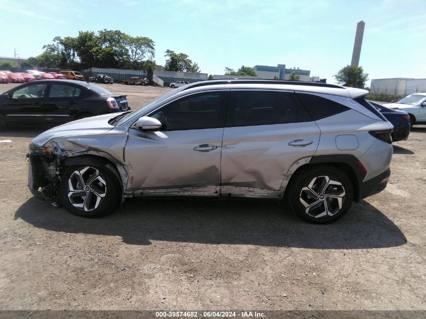 2023 Hyundai Tucson Limited VIN: 5NMJECAE5PH254962 Lot: 39574682