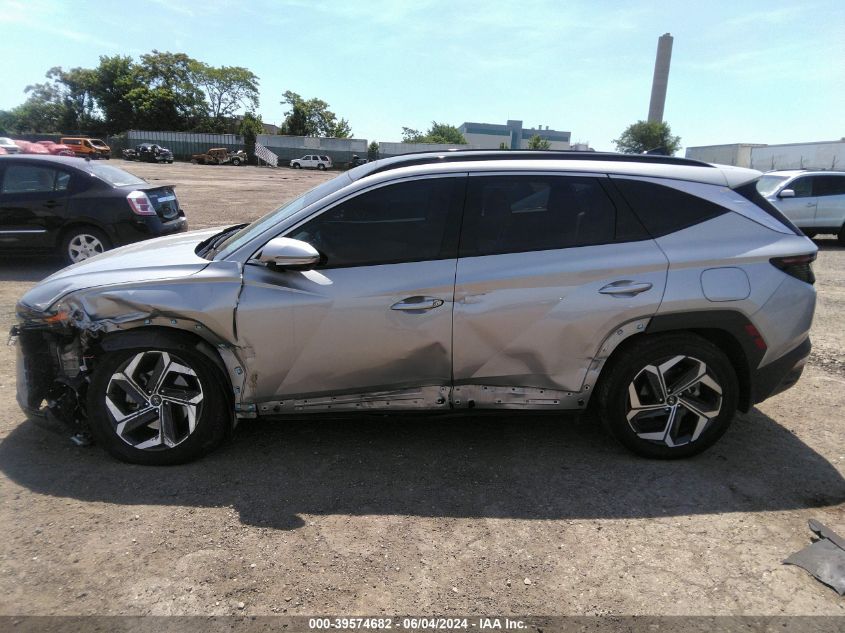 2023 Hyundai Tucson Limited VIN: 5NMJECAE5PH254962 Lot: 39574682