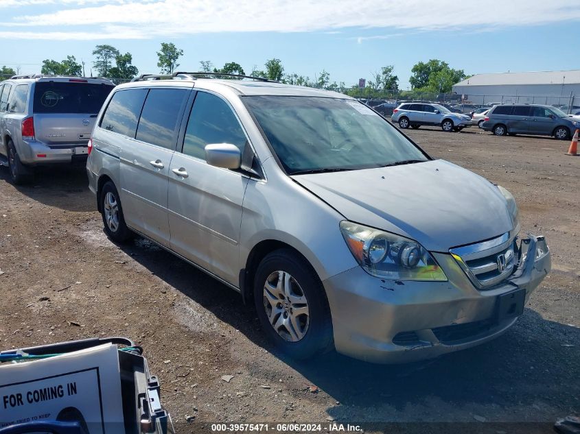 2005 Honda Odyssey Ex-L VIN: 5FNRL387X5B112430 Lot: 39575471