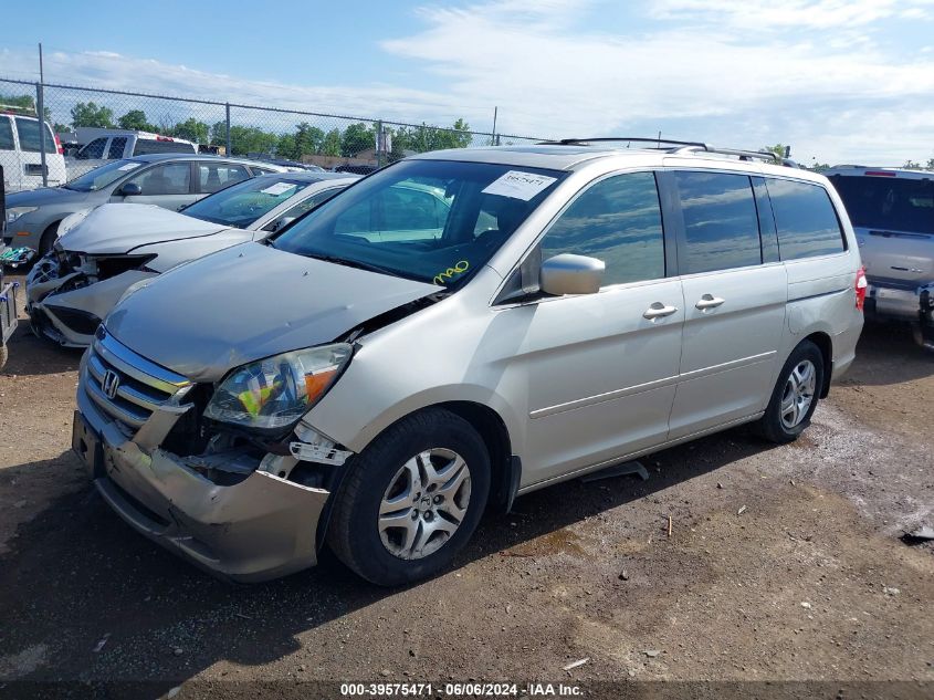 2005 Honda Odyssey Ex-L VIN: 5FNRL387X5B112430 Lot: 39575471