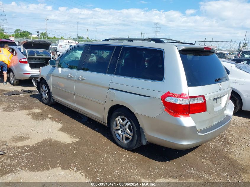 2005 Honda Odyssey Ex-L VIN: 5FNRL387X5B112430 Lot: 39575471