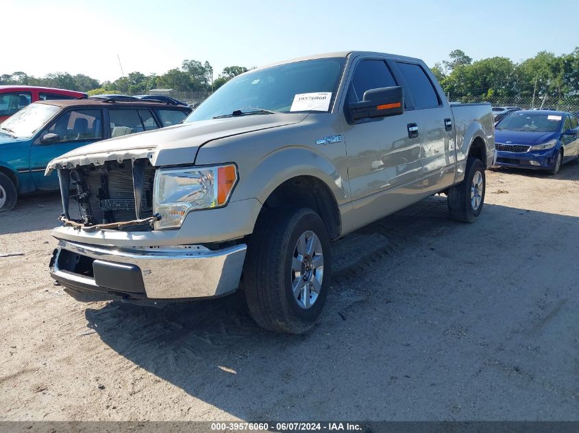 2010 Ford F-150 Fx2 Sport/Xl/Xlt VIN: 1FTEW1C82AKA76417 Lot: 39576060