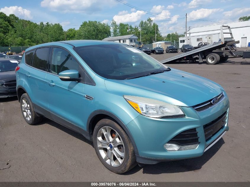 2013 FORD ESCAPE SEL - 1FMCU9H95DUA81421