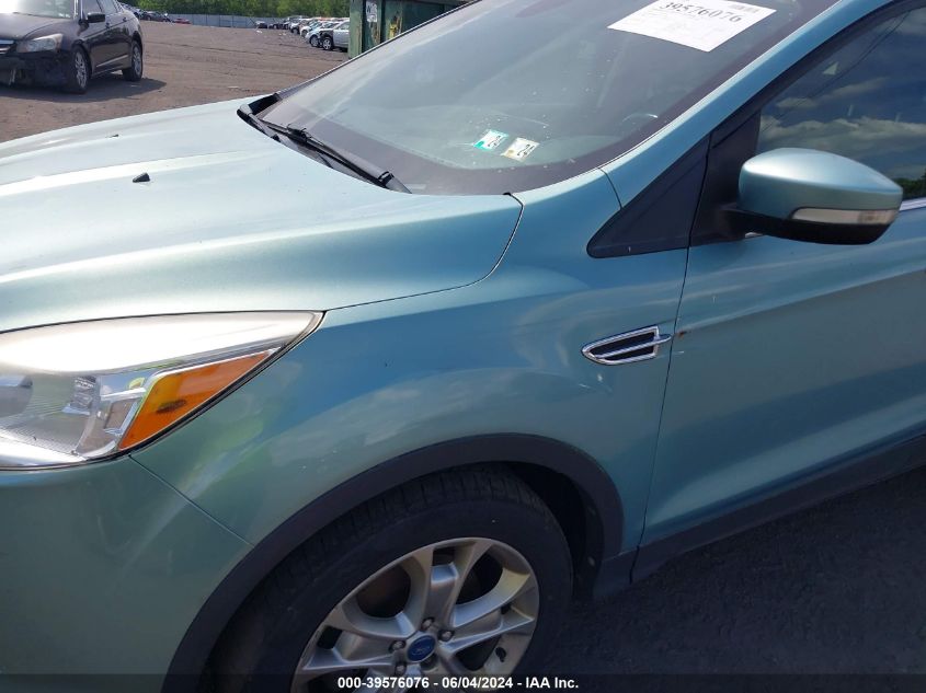 2013 FORD ESCAPE SEL - 1FMCU9H95DUA81421