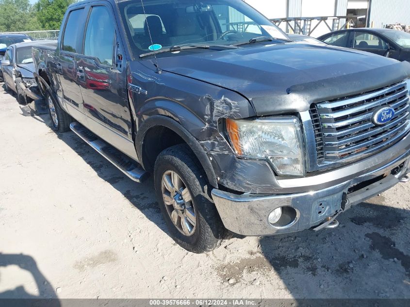 2010 Ford F-150 Fx4/Harley-Davidson/King Ranch/Lariat/Platinum/Xl/Xlt VIN: 1FTFW1EV1AFB79392 Lot: 39576666