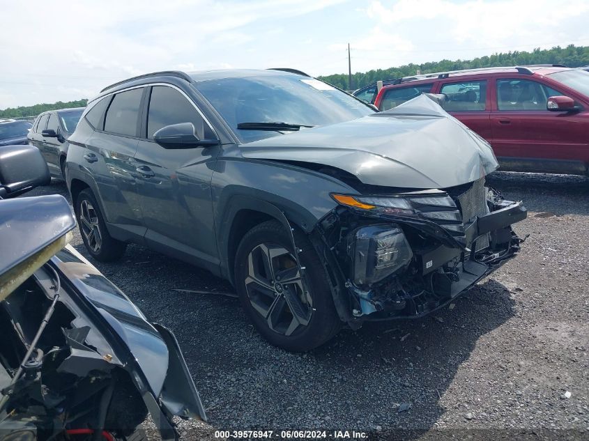 5NMJFCDE0RH339428 2024 HYUNDAI TUCSON - Image 1