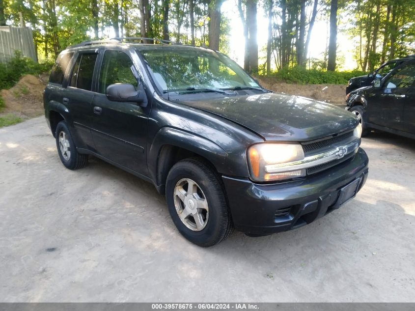 2006 Chevrolet Trailblazer Ls VIN: 1GNDT13S262275501 Lot: 39578675