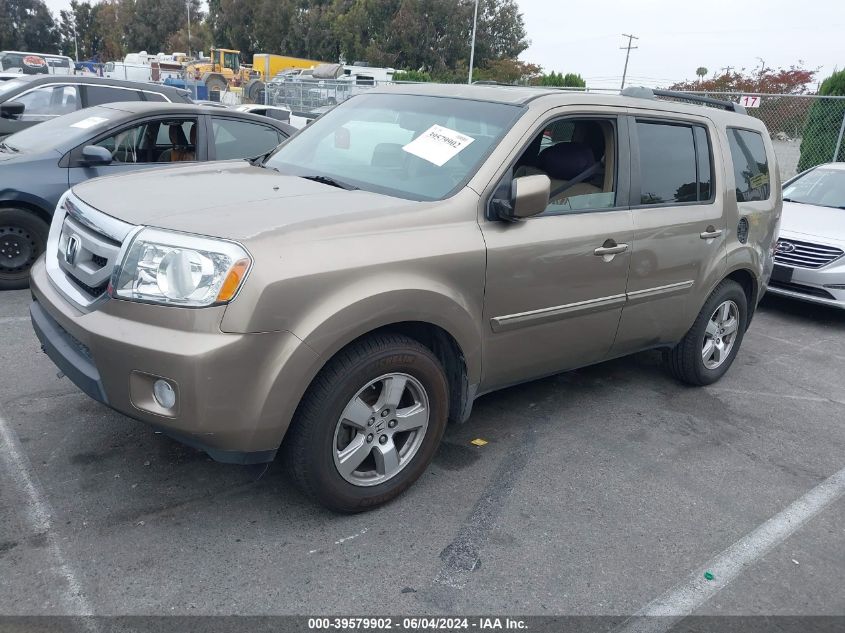 2009 Honda Pilot Ex-L VIN: 5FNYF38539B012502 Lot: 39579902