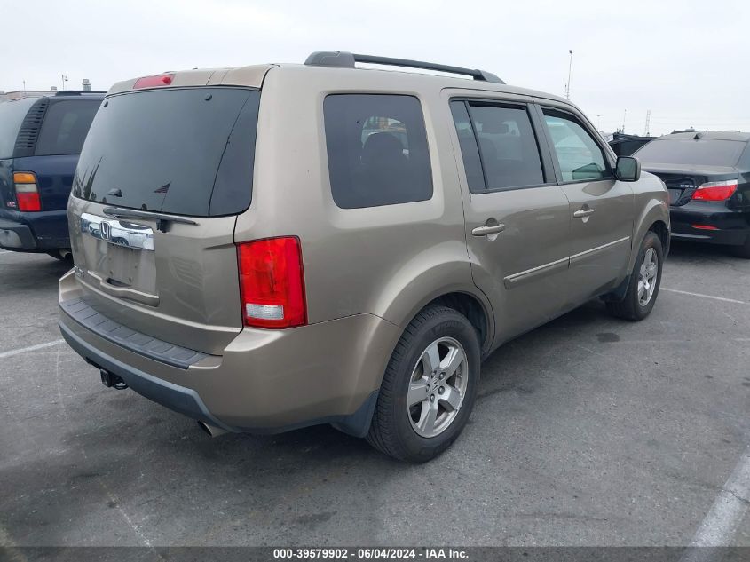 2009 Honda Pilot Ex-L VIN: 5FNYF38539B012502 Lot: 39579902