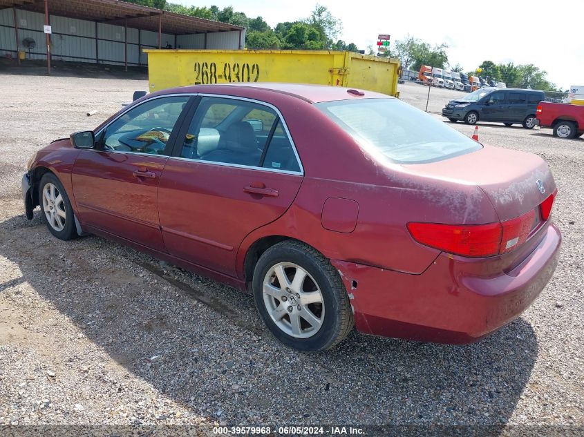 1HGCM66505A006648 2005 Honda Accord 3.0 Ex