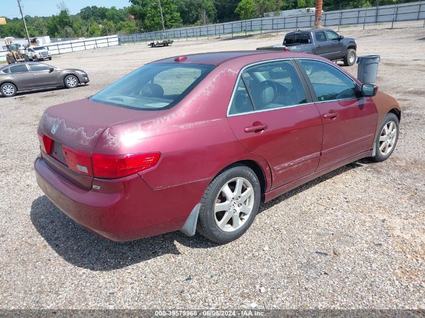 1HGCM66505A006648 2005 Honda Accord 3.0 Ex