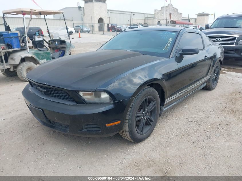 2010 Ford Mustang V6/V6 Premium VIN: 1ZVBP8AN6A5150886 Lot: 39580184