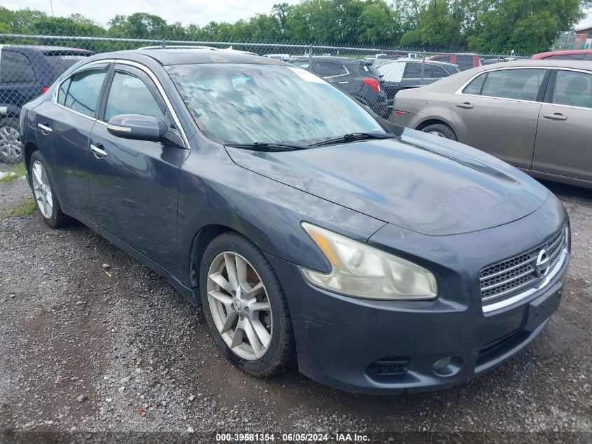 2010 Nissan Maxima 3.5 Sv VIN: 1N4AA5AP6AC832913 Lot: 39581354