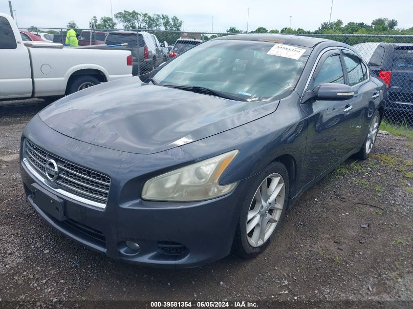 2010 Nissan Maxima 3.5 Sv VIN: 1N4AA5AP6AC832913 Lot: 39581354